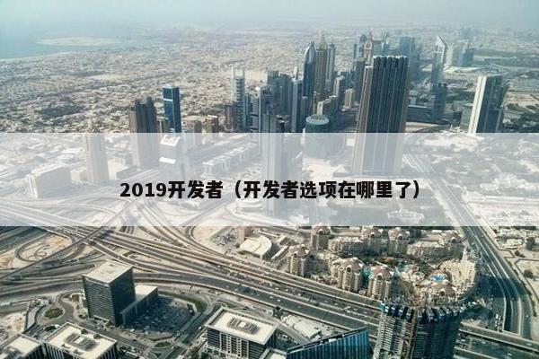 2019开发者（开发者选项在哪里了）