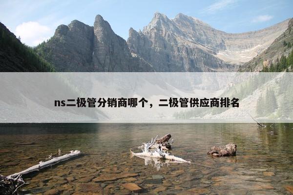 ns二极管分销商哪个，二极管供应商排名