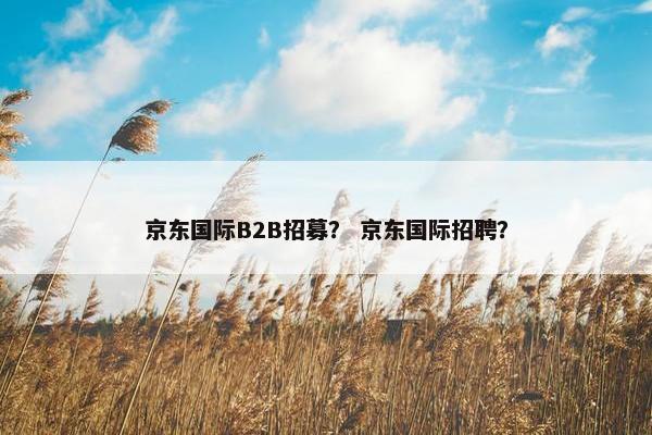 京东国际B2B招募？ 京东国际招聘？