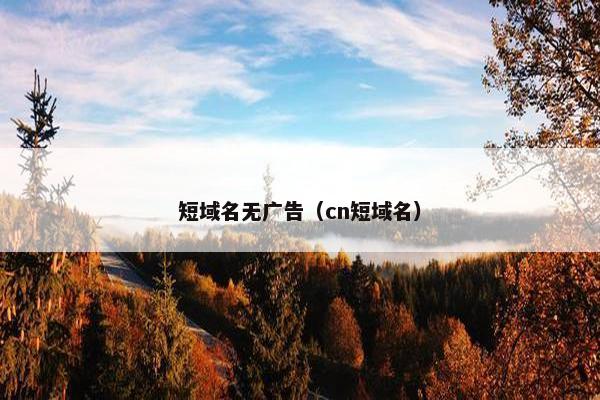 短域名无广告（cn短域名）