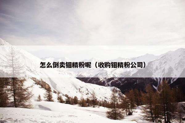 怎么倒卖钼精粉呢（收购钼精粉公司）
