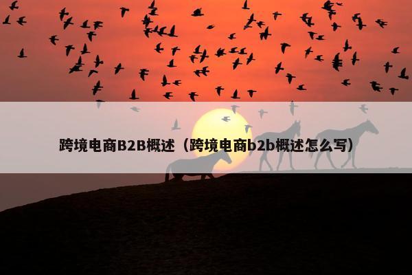 跨境电商B2B概述（跨境电商b2b概述怎么写）