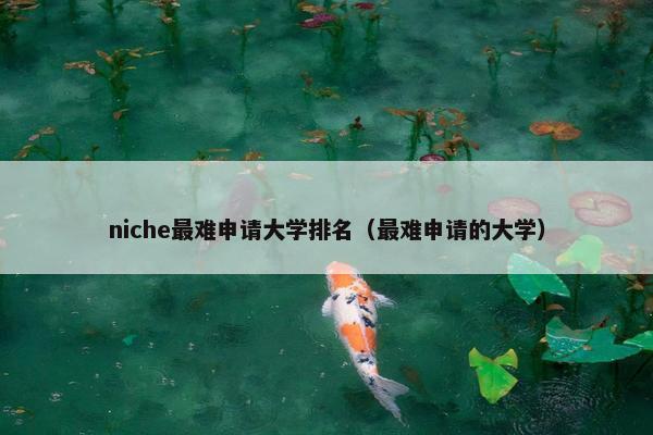 niche最难申请大学排名（最难申请的大学）