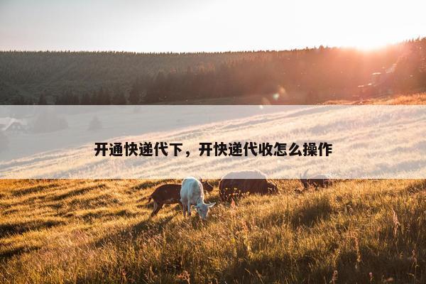 开通快递代下，开快递代收怎么操作
