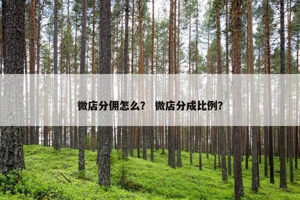 微店分佣怎么？ 微店分成比例？