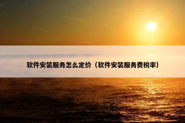 软件安装服务怎么定价（软件安装服务费税率）