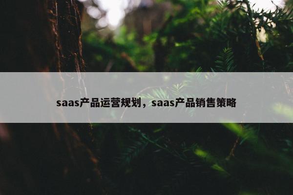 saas产品运营规划，saas产品销售策略