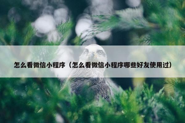 怎么看微信小程序（怎么看微信小程序哪些好友使用过）