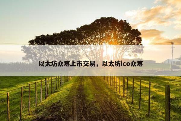 以太坊众筹上市交易，以太坊ico众筹