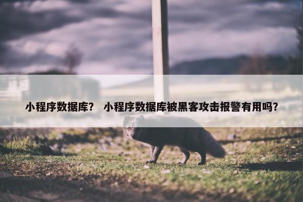 小程序数据库？ 小程序数据库被黑客攻击报警有用吗？