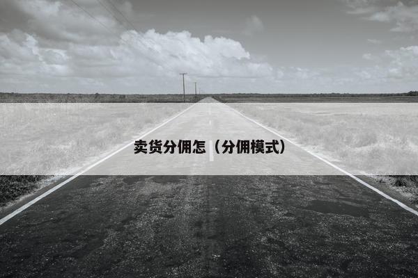 卖货分佣怎（分佣模式）