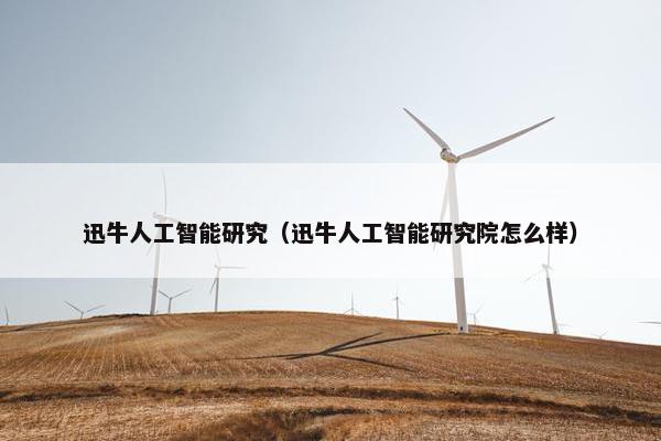 迅牛人工智能研究（迅牛人工智能研究院怎么样）