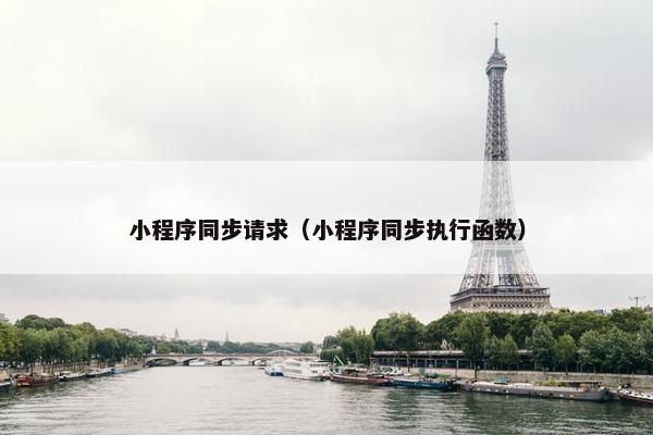 小程序同步请求（小程序同步执行函数）