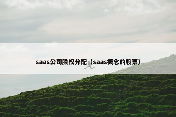 saas公司股权分配（saas概念的股票）