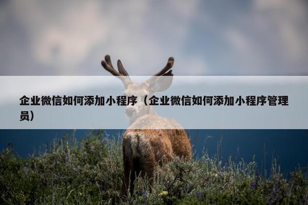 企业微信如何添加小程序（企业微信如何添加小程序管理员）