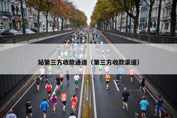站第三方收款通道（第三方收款渠道）