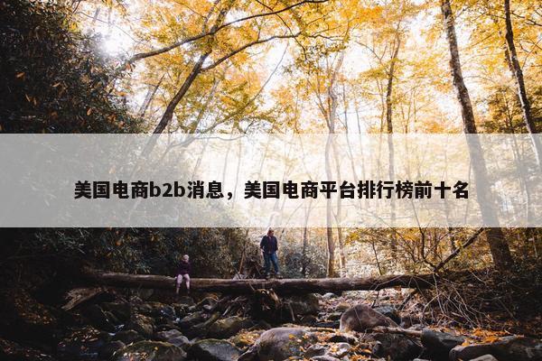 美国电商b2b消息，美国电商平台排行榜前十名