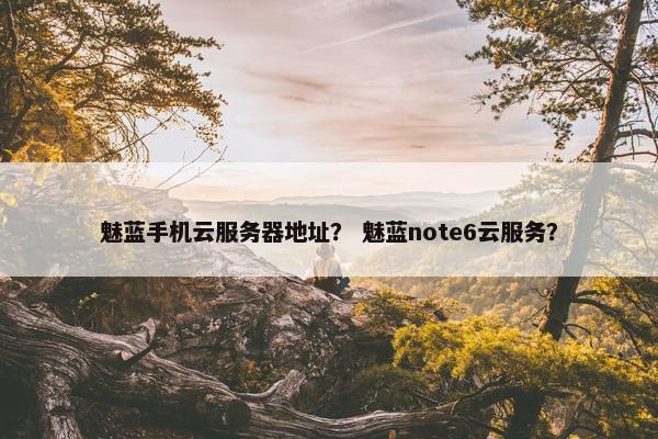 魅蓝手机云服务器地址？ 魅蓝note6云服务？
