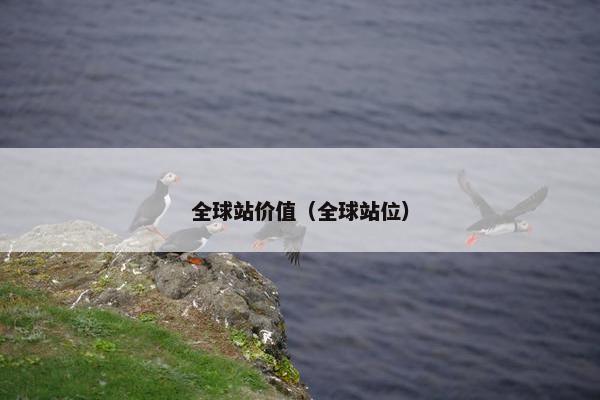 全球站价值（全球站位）