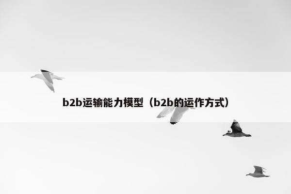 b2b运输能力模型（b2b的运作方式）