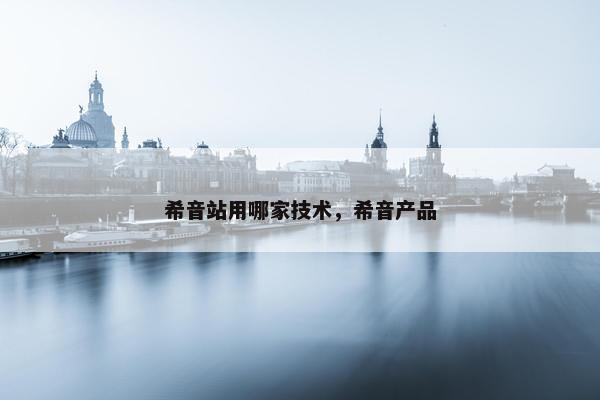希音站用哪家技术，希音产品