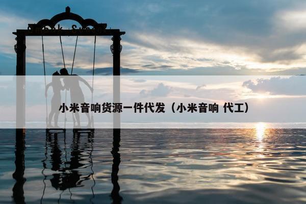 小米音响货源一件代发（小米音响 代工）