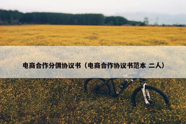 电商合作分佣协议书（电商合作协议书范本 二人）