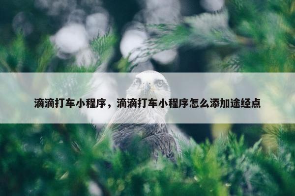 滴滴打车小程序，滴滴打车小程序怎么添加途经点