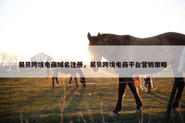 易贝跨境电商域名注册，易贝跨境电商平台营销策略