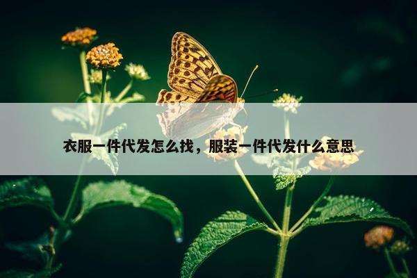 衣服一件代发怎么找，服装一件代发什么意思