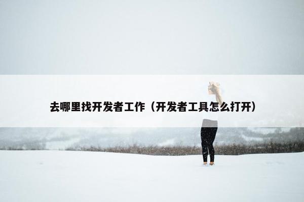 去哪里找开发者工作（开发者工具怎么打开）