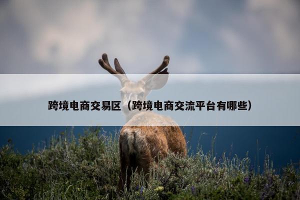 跨境电商交易区（跨境电商交流平台有哪些）