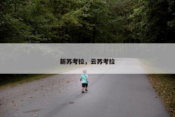 新苏考拉，云苏考拉