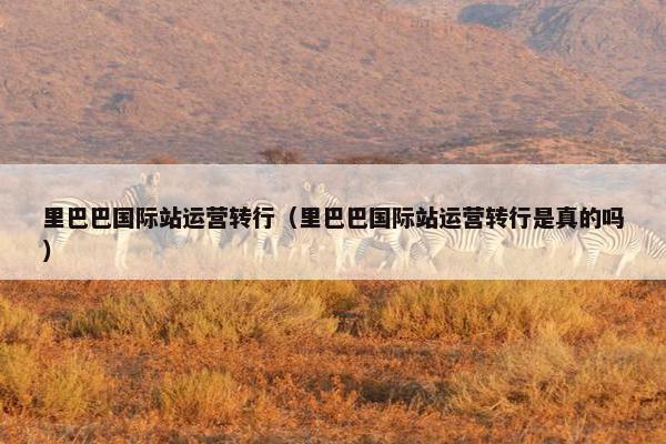 里巴巴国际站运营转行（里巴巴国际站运营转行是真的吗）