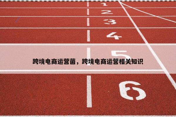 跨境电商运营菌，跨境电商运营相关知识