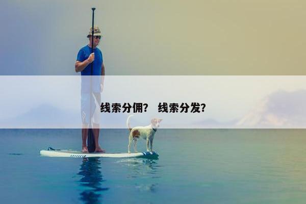 线索分佣？ 线索分发？