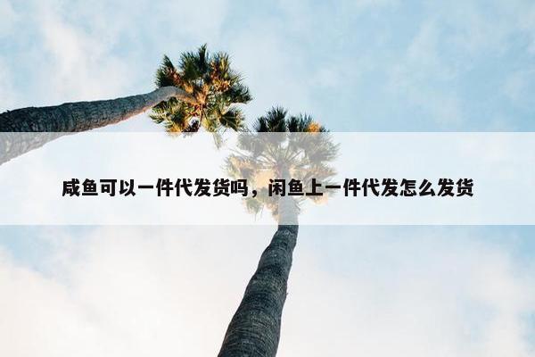 咸鱼可以一件代发货吗，闲鱼上一件代发怎么发货