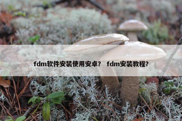 fdm软件安装使用安卓？ fdm安装教程？