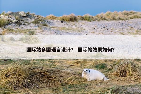 国际站多国语言设计？ 国际站效果如何？
