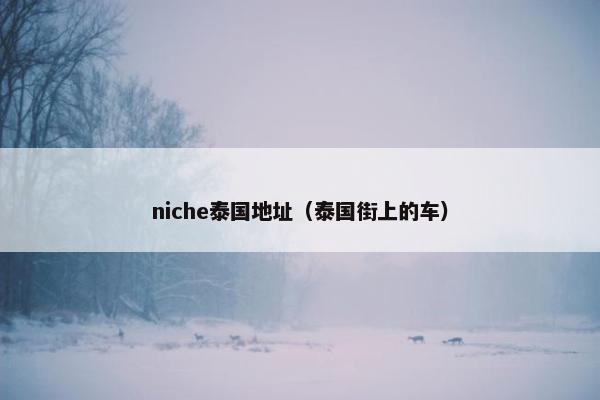 niche泰国地址（泰国街上的车）