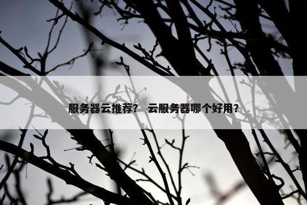 服务器云推荐？ 云服务器哪个好用？