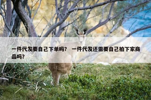 一件代发要自己下单吗？ 一件代发还需要自己拍下家商品吗？