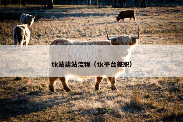 tk站建站流程（tk平台兼职）