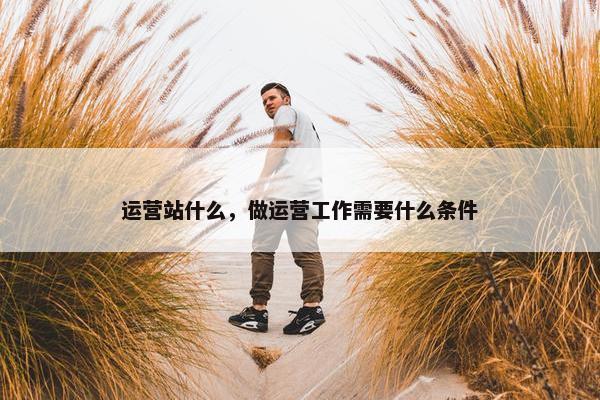运营站什么，做运营工作需要什么条件