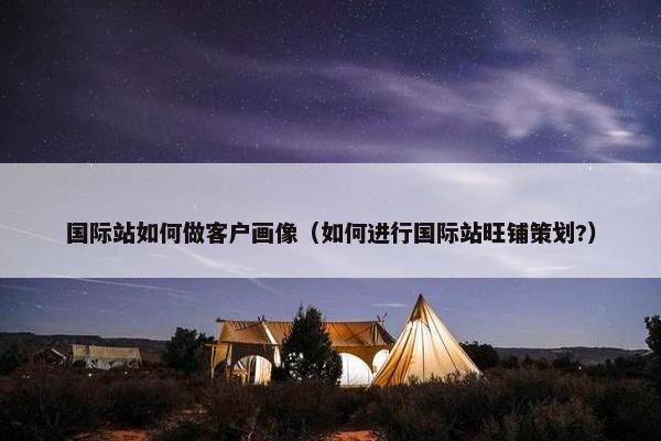 国际站如何做客户画像（如何进行国际站旺铺策划?）