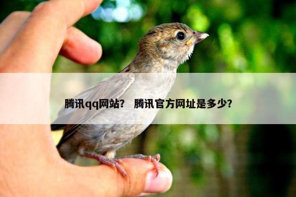 腾讯qq网站？ 腾讯官方网址是多少？