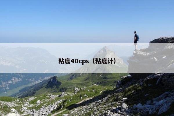 粘度40cps（粘度计）