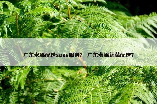 广东水果配送saas服务？ 广东水果蔬菜配送？