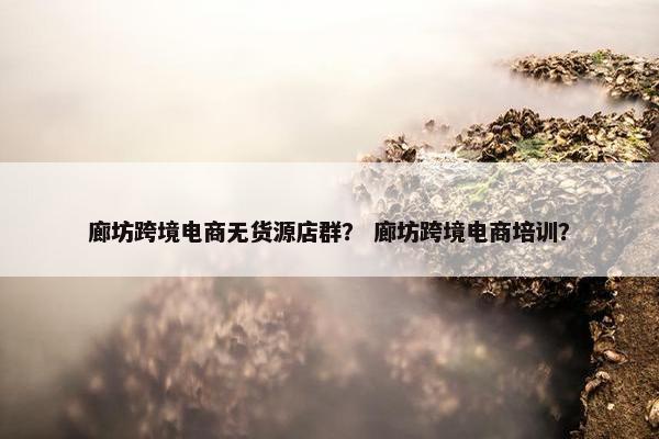 廊坊跨境电商无货源店群？ 廊坊跨境电商培训？