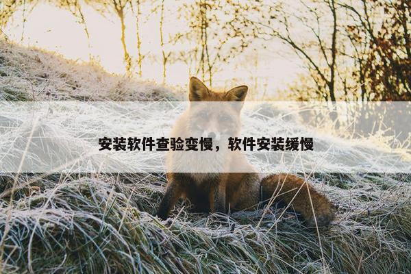 安装软件查验变慢，软件安装缓慢